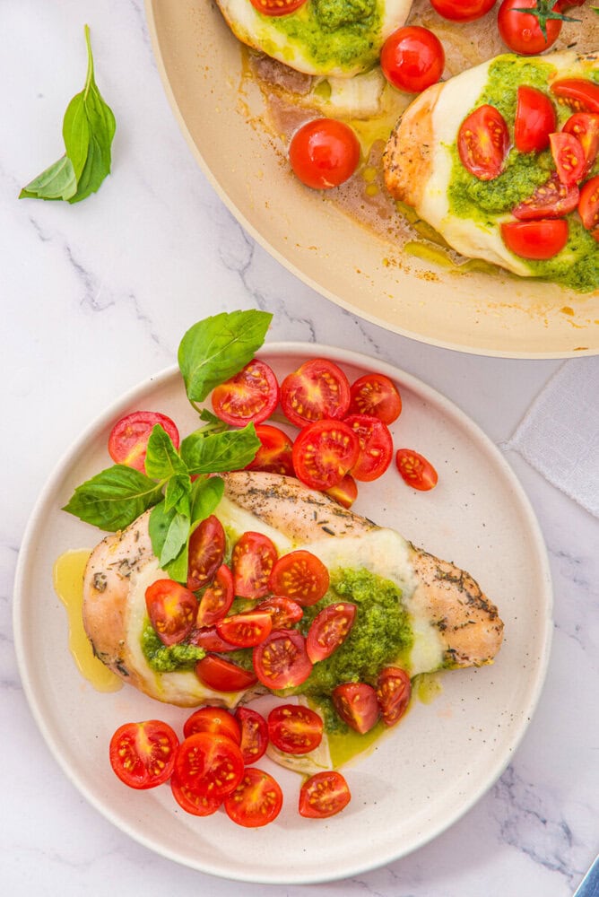 Chicken margherita plated with mozzarella, fresh tomatoes, basil pesto and basil garnish on white plate