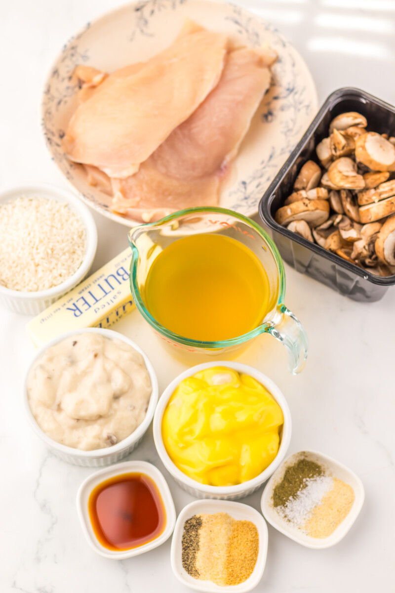 slow cooker chicken and rice recipe ingredients laid out including deli turkey, cashews, butter, mayo, olive oil, and seasonings