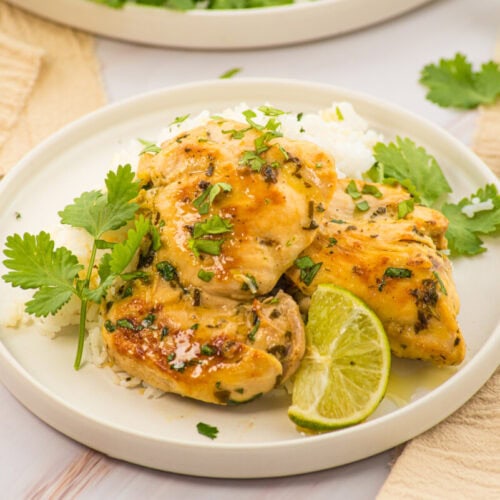 Cilantro lime chicken breasts plated with fresh cilantro garnish and lime wedges