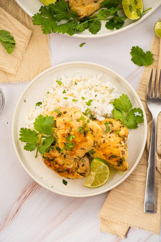 Cilantro lime chicken with white rice and fresh cilantro garnish plated on white dish