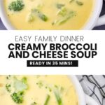 Velveeta Cheese Broccoli Soup