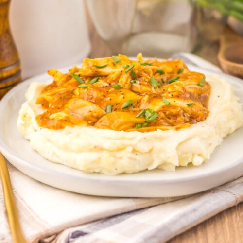 Slow cooker sweet onion teriyaki chicken served over mashed potatoes with green onion garnish on a white plate